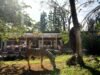 Chick a Boom Resmi Dibuka di Royal Safari Garden, Hadirkan Pengalaman Kuliner Unik dengan Pemandangan Satwa Afrika 