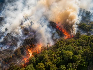 Karhutla Indonesia-Malaysia: Indonesia perkuat water bombing, Malaysia siapkan cloud seeding