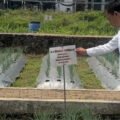 Cek Pelayanan Publik dan Antisipasi Dampak Kemarau, Wakil Bupati Bogor Pastikan Layanan Masyarakat Tetap Optimal