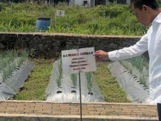 Antisipasi Gagal Panen Akibat Kemarau, Pemkab Bogor Siapkan Gerakan Pangan Murah dan Pupuk Terjangkau