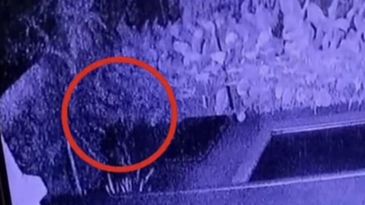 Rumah Warga di Bogor Lakeside Dibobol Maling, MacBook hingga HP Xiaomi Raib