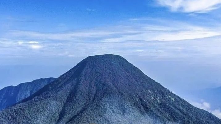 Rawan Kebakaran, Pendakian Gunung Gede Pangrango Ditutup hingga Waktu yang Belum Ditentukan