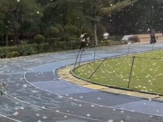 Lapangan Sempur Bogor Mendadak Bak Musim Dingin, Rumput Dipenuhi Kapas Putih Mirip Salju