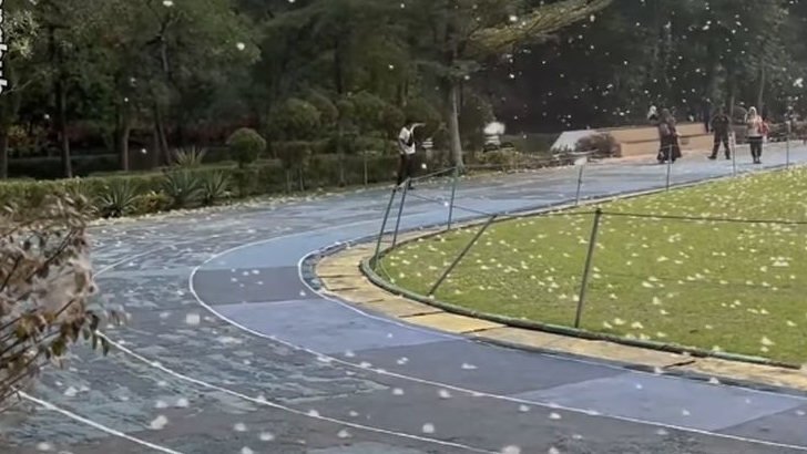 Lapangan Sempur Bogor Mendadak Bak Musim Dingin, Rumput Dipenuhi Kapas Putih Mirip Salju