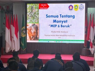 Laporan Monyet Masuk Permukiman Meningkat, Damkar Bogor Gandeng YIARI Perkuat Petugas