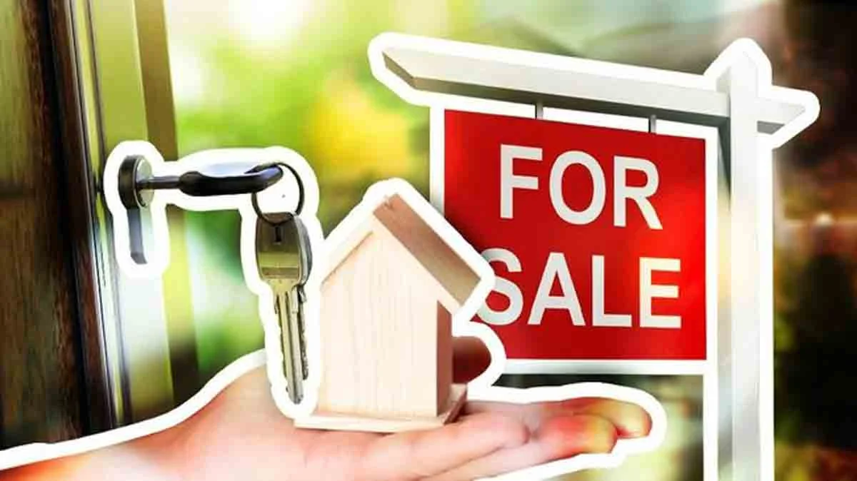 Bisnis properti