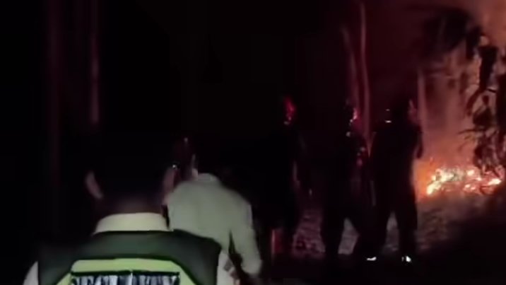 Damkar Ungkap Penyebab Kebakaran Lahan Perbukitan di Bojong Koneng Bogor