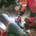 Pohon Tumbang Timpa Pagar Sekolah dan Tutup Jalan Ciremai Ujung Bogor