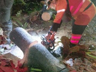 Pohon Tumbang Timpa Pagar Sekolah dan Tutup Jalan Ciremai Ujung Bogor