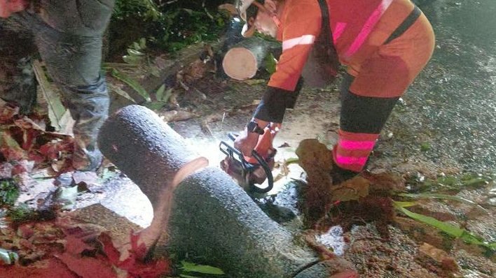 Pohon Tumbang Timpa Pagar Sekolah dan Tutup Jalan Ciremai Ujung Bogor