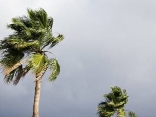 Langit Jabodetabek Hari Ini Didominasi Berawan, BMKG Ingatkan Potensi Angin Kencang