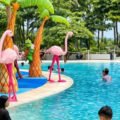 Ada Pantai di Atas Gunung? Nako Pasir dan Angin Jadi Destinasi Keluarga Baru di Puncak Bogor