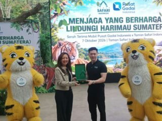 Populasi Harimau Sumatera Diperkirakan Tinggal 400 Ekor, Pusat Gadai Indonesia Turun Tangan