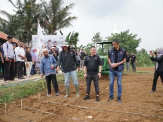 Peringati HUT ke-40 Pemuda Tani Indonesia, PTI Kota Bogor Tanam Jagung Hibrida dan Padi