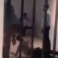 BGN Copot Korwil Purwakarta Usai Video Pencambukan Kepala SPPG di Bogor Viral, Kasus Berlanjut ke Sidang Etik